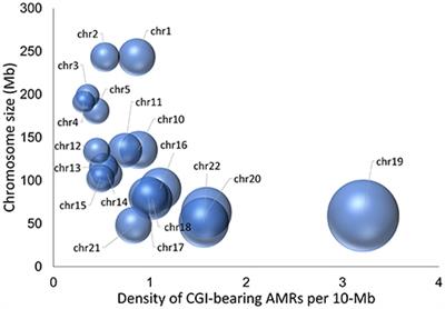 Maternal 5mCpG Imprints at the PARD6G-AS1 and GCSAML Differentially Methylated Regions Are Decoupled From Parent-of-Origin Expression Effects in Multiple Human Tissues